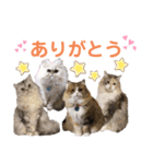 ♡福♡暖♡紗♡希♡（個別スタンプ：24）