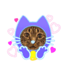 うちのCats2（個別スタンプ：3）