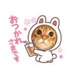 うちのCats2（個別スタンプ：4）