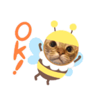 うちのCats2（個別スタンプ：16）