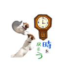 はなとさくの花咲くeveryday.（個別スタンプ：3）