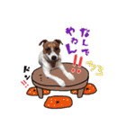 はなとさくの花咲くeveryday.（個別スタンプ：5）