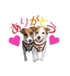 はなとさくの花咲くeveryday.（個別スタンプ：10）
