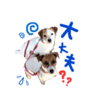 はなとさくの花咲くeveryday.（個別スタンプ：16）