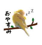 セキセイインコのきんちゃん（個別スタンプ：1）