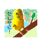 セキセイインコのきんちゃん（個別スタンプ：15）