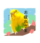 セキセイインコのきんちゃん（個別スタンプ：22）