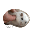 あずちゃんの日常②（個別スタンプ：20）
