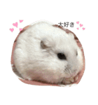 あずちゃんの日常②（個別スタンプ：21）
