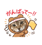 家にいる猫と犬日常会話スタンプ（個別スタンプ：6）