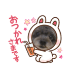 家にいる猫と犬日常会話スタンプ（個別スタンプ：7）