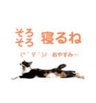 LaToNeRuさんちのこMiMi編（個別スタンプ：33）