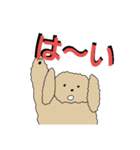 無口なトイプードル2（個別スタンプ：5）