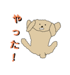 無口なトイプードル2（個別スタンプ：9）