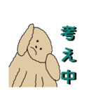 無口なトイプードル2（個別スタンプ：17）