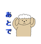 無口なトイプードル2（個別スタンプ：20）