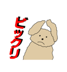 無口なトイプードル2（個別スタンプ：21）