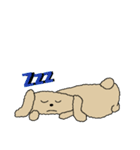 無口なトイプードル2（個別スタンプ：23）