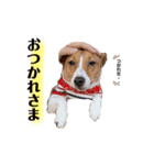 わたしてる1歳（個別スタンプ：4）