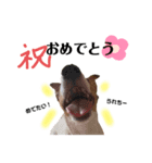 わたしてる1歳（個別スタンプ：6）