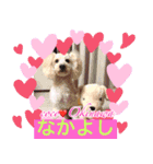 久高悟 Okinawa stamp2（個別スタンプ：6）