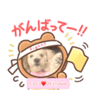 久高悟 Okinawa stamp2（個別スタンプ：8）