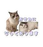 りずとそにー。（個別スタンプ：5）