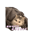 りずとそにー。（個別スタンプ：6）