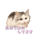 りずとそにー。（個別スタンプ：8）