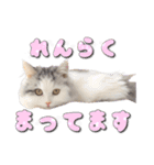 りずとそにー。（個別スタンプ：11）