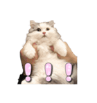 りずとそにー。（個別スタンプ：19）