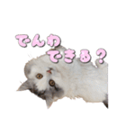 りずとそにー。（個別スタンプ：22）
