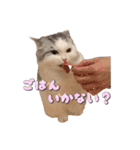 りずとそにー。（個別スタンプ：23）