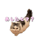 りずとそにー。（個別スタンプ：27）