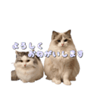 りずとそにー。（個別スタンプ：31）