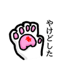 やたらケガするねこ（個別スタンプ：34）