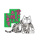 猫のKabamaru ～ほのぼの毎日2～（個別スタンプ：5）