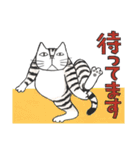 猫のKabamaru ～ほのぼの毎日2～（個別スタンプ：7）