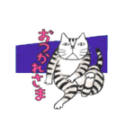 猫のKabamaru ～ほのぼの毎日2～（個別スタンプ：8）