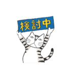 猫のKabamaru ～ほのぼの毎日2～（個別スタンプ：11）