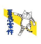 猫のKabamaru ～ほのぼの毎日2～（個別スタンプ：16）