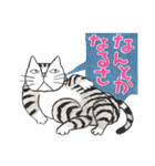 猫のKabamaru ～ほのぼの毎日2～（個別スタンプ：28）