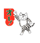 猫のKabamaru ～ほのぼの毎日2～（個別スタンプ：40）