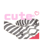 たまとなかまたち（個別スタンプ：16）