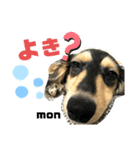 mon＆maru（個別スタンプ：3）