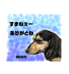mon＆maru（個別スタンプ：6）