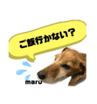 mon＆maru（個別スタンプ：7）