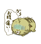 にゃんこ虎吉スタンプ パート14（個別スタンプ：25）