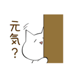 仲良しうさねこ・ノラシロ（個別スタンプ：18）