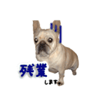 フレブルの大吉くん (使いやすい敬語)（個別スタンプ：1）